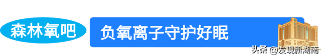 万家丽国际大酒店把“森林”搬进客房 多元业态唤醒城市旅居新想象