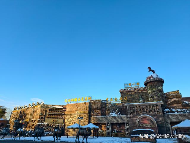 新疆乌鲁木齐红光山大佛寺