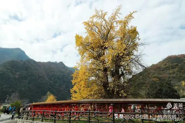 超出片!快来这里捕捉汉中秋色!