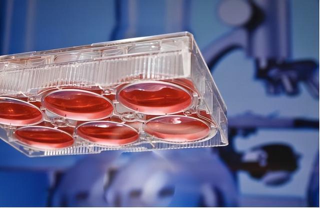 日本在为大战做准备，从“万能血浆	”到战俘处理	，后勤暴露了野心