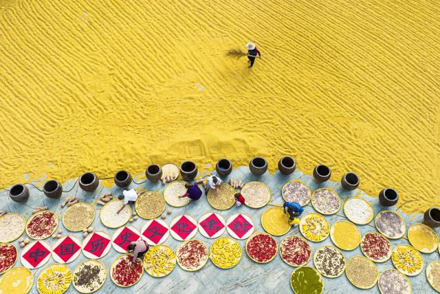 黄陂这些点位出片率绝了！