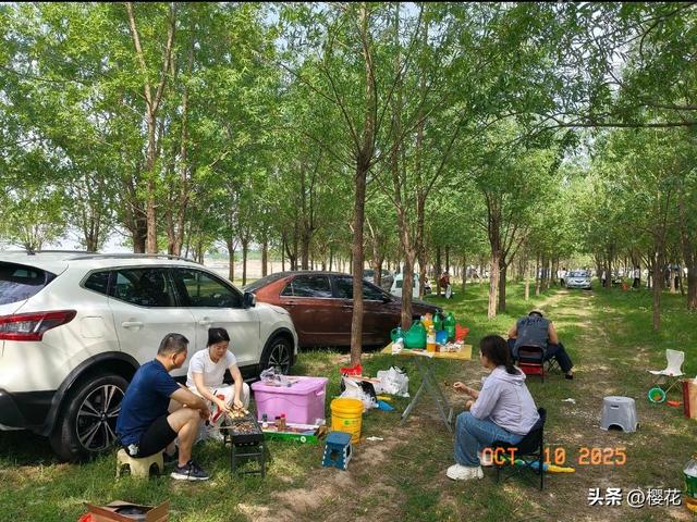 国庆帐篷革命：年轻人拒绝“酒店刺客”，草地上长出的消费主权！