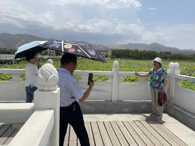 甘肃白银：昔日黄河排污口 如今荷香迎客来