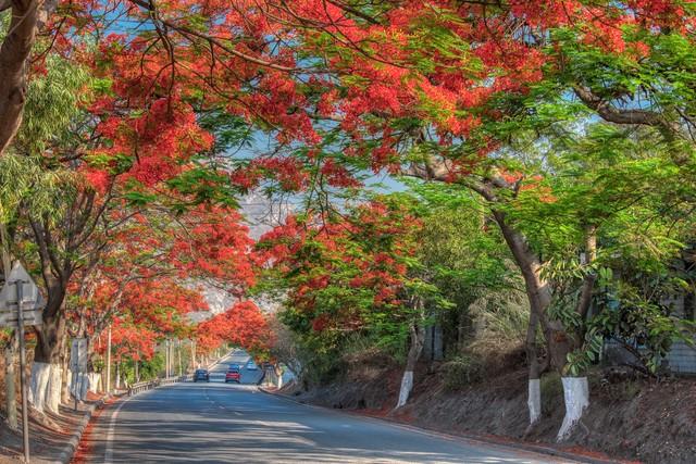 国内必去的10大避寒城市，一个比一个温暖，这个冬天不要错过