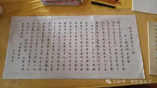 一次浦东乡村的深度二日游