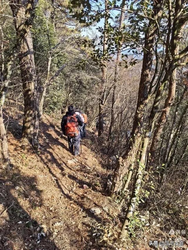 邂逅2026年的第一场醉美雾凇!温州四海山的雾凇美爆了!