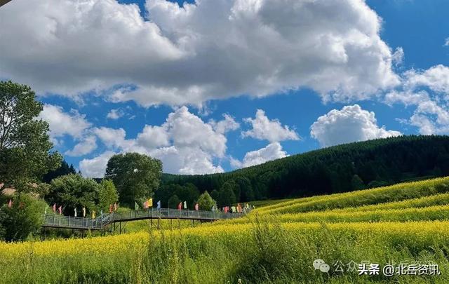 浑源县东葫芦头村：油菜花海引客来 清凉乡村醉游人