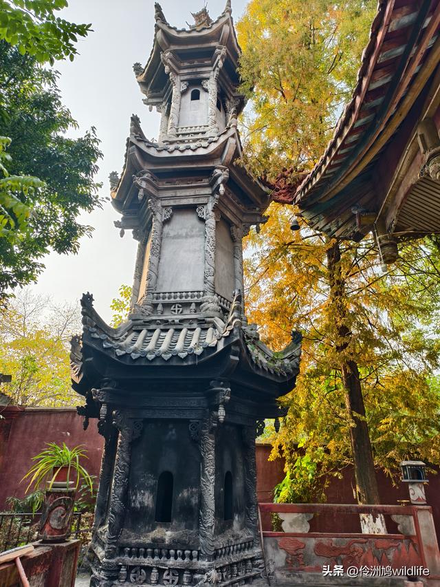 四川行(75)广汉②金雁湖公园·黑塔街·龙居寺