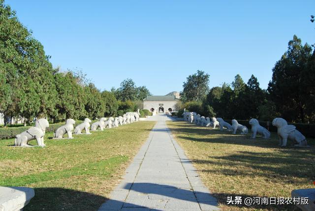 布局新业态！新乡文旅产业聚力高质量发展