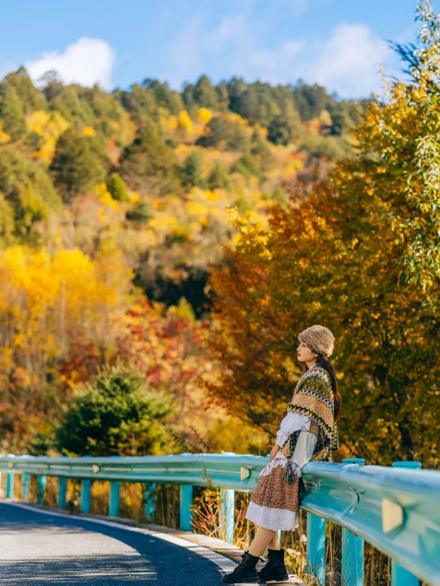 《2025雅安深秋耍事》出炉！这样耍，安逸得很！