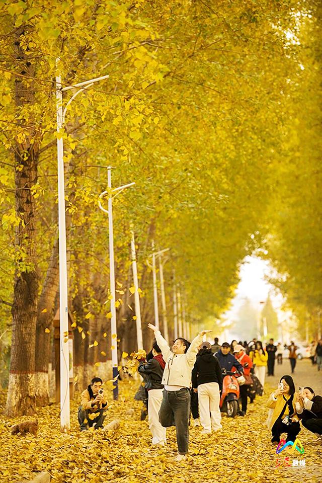 出片率100%！上党区郭堡村含“金”量不断上升