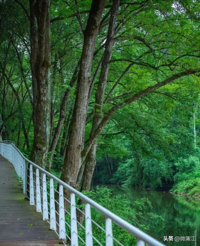 “骑”遇惊喜，快来成都蒲江“醉氧”绿道，开启你的追风之旅！