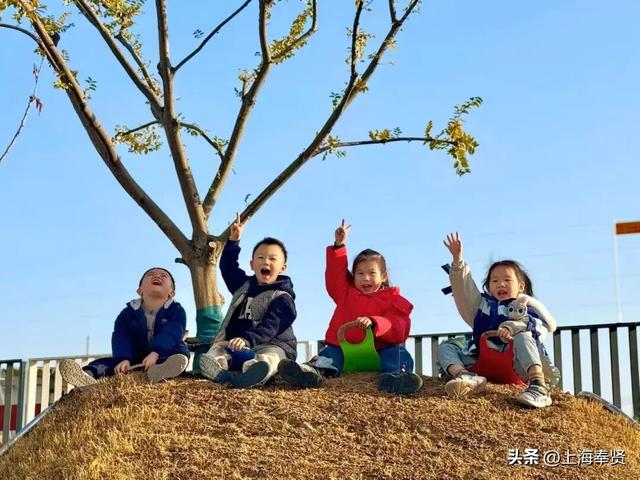 奉浦校园初冬美景大赏，你家娃的学校藏着这样的冬日浪漫