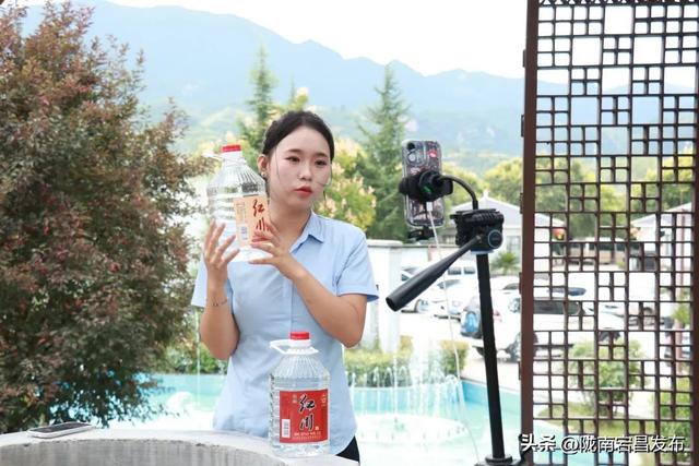 古韵新姿话成县：山水人文与产业的交响