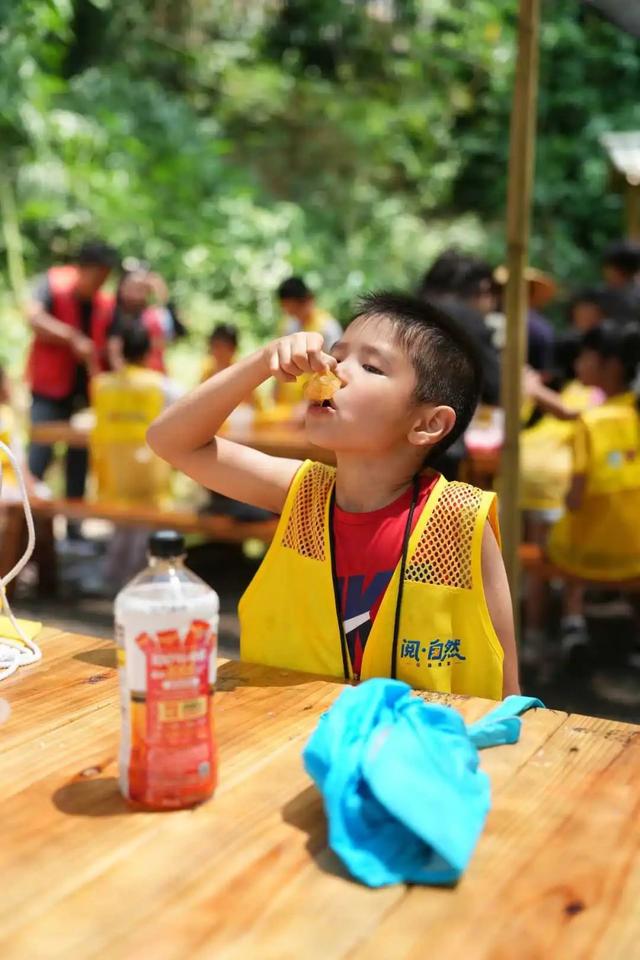 蜜蜂谷里探秘忙！“阅·自然”公益课堂开启自然研学之旅
