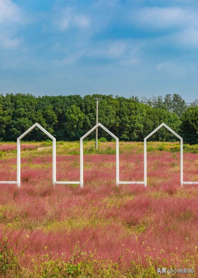 美爆了！苏州秋日大片，上新了！