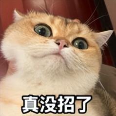 热搜爆了！西贝发长文致歉，结果彻底翻车...