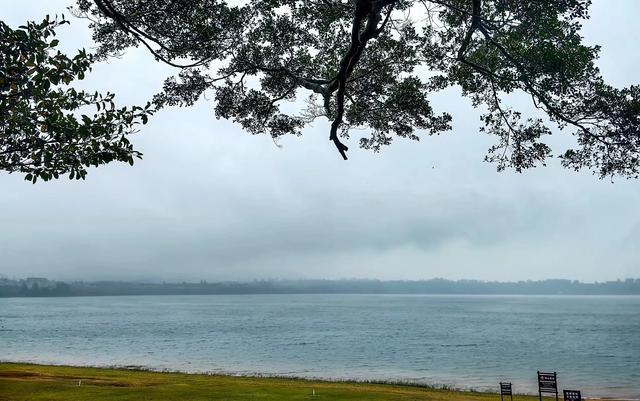 广西广东海南环游(七)南亚热带植物园、湖光岩