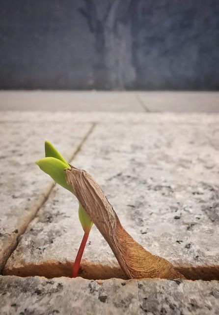 20条触动心灵的情感语录	，愿有一句能照亮你此刻的心情……