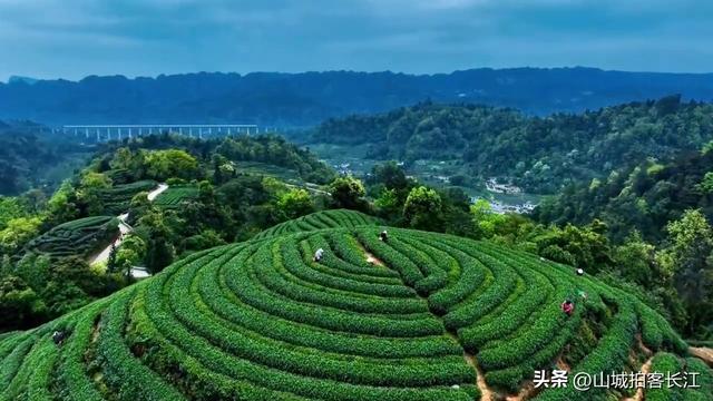 四川优雅的城市，极致美景和特色美食很多，有“天府之肺”的美誉