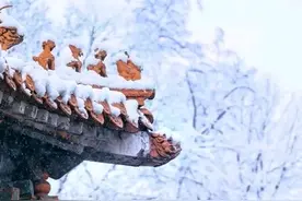 读懂《庄子》：君子处于木雁之间，当有龙蛇之变图片