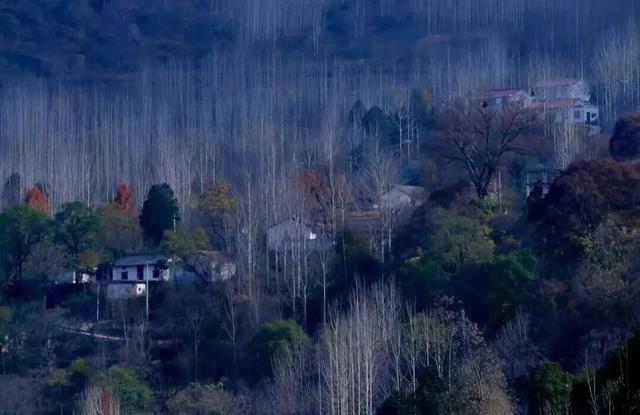 两当冬韵， “氧”心秘境