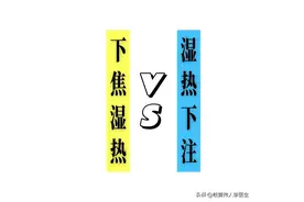 湿热难清！下焦湿热和湿热下注 你真的能分清吗，调理方向大不同！图片