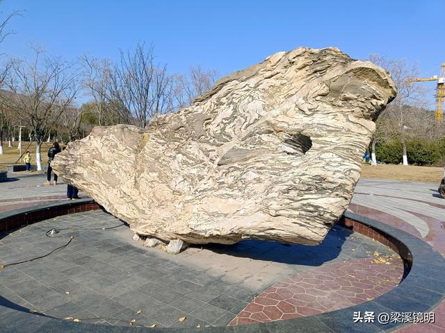 大雪时节，来汤山金乌公园晒暖阳、泡温泉（上）