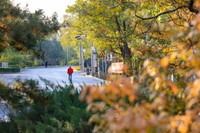 藏不住的惊艳！这座公园正处颜值巅峰