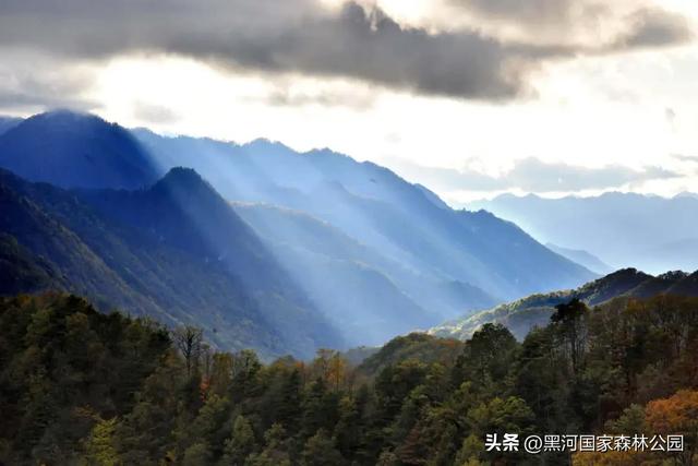 云端漫游，共赏黑河 | 提前解锁初秋的第一份美好