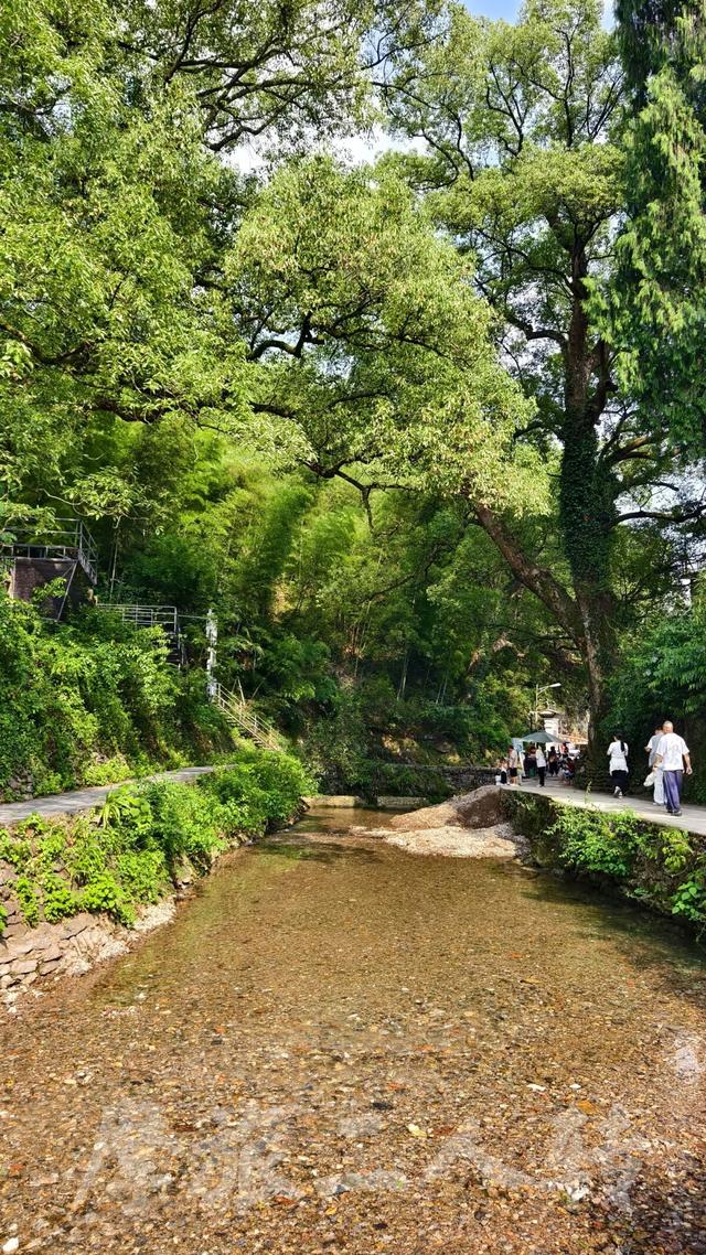 皖浙摩旅二人转——芹川古村篇