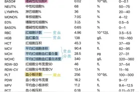 血常规解读新视角：白细胞与病毒、细菌的“战争”图片