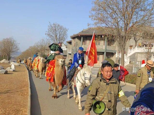 东天山骆驼队来洛阳是“流量网红”还是“文化传播”呢？