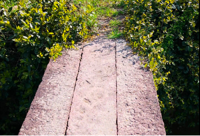 金华阳端桥：有善之心，做善之事，成善之人