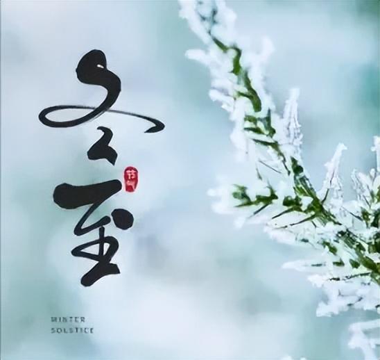 枣庄市文化馆2025年度精彩时刻（四）以文塑旅促融合 荣誉见证显担当