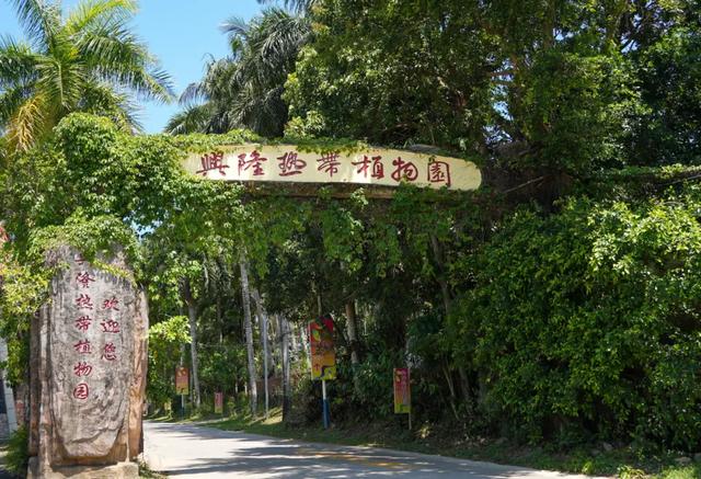 女神来了！高圆圆分享万宁度假照，中秋国庆假期打卡同款→