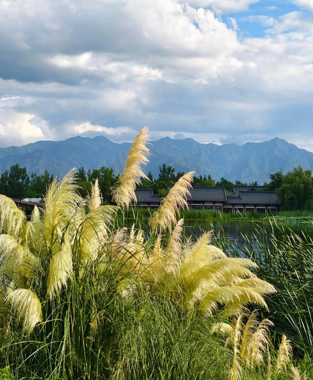 西安这个免费的“小江南”,景似西湖,人少还更有故事提起西安,