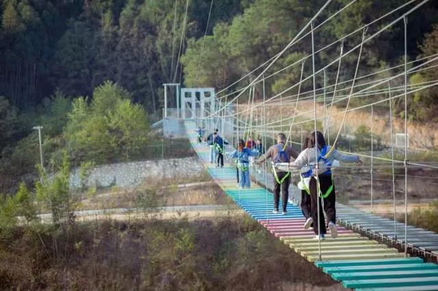 乐享田园·趣游南宁│稻香壮韵寻趣之旅