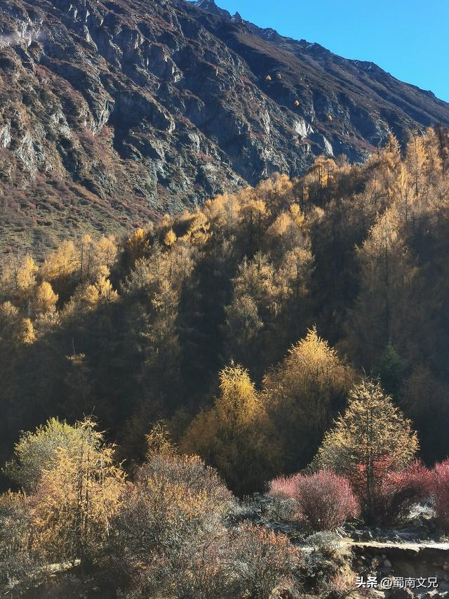 #阿坝头条#理小路，有人称之为川西的独库公路