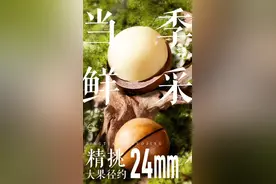 天花板级夏威夷大果每斤仅需19.9元 京东农特产节上线广西隐藏特产图片