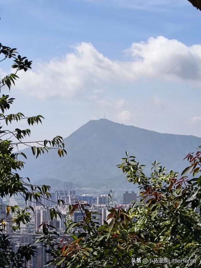 石室寻幽:岁月登山路,初心向云台