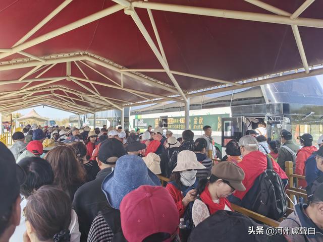 额济纳旗胡杨林