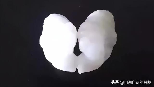 鳘鱼花胶 2025年鳘鱼花胶做法