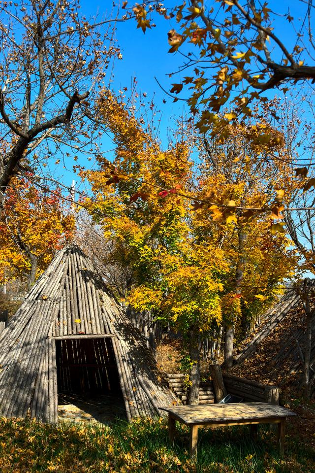 小雪｜冬意初临时，风物成画，岁月如诗