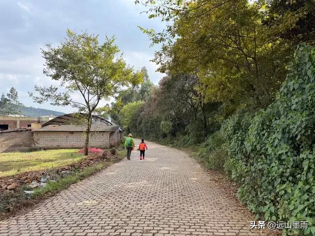 周末徒步，走昆明嵩明的灵云山，游法界寺、走森林步道，休闲惬意