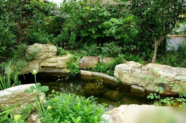 40岁夫妻“逃离城市”回农村，打造花园仙境，城里人排队看