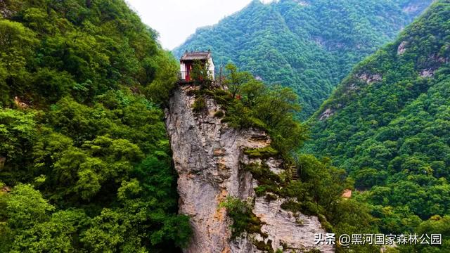 热浪再度来袭？不如进山去！享受20℃+的清凉舒爽