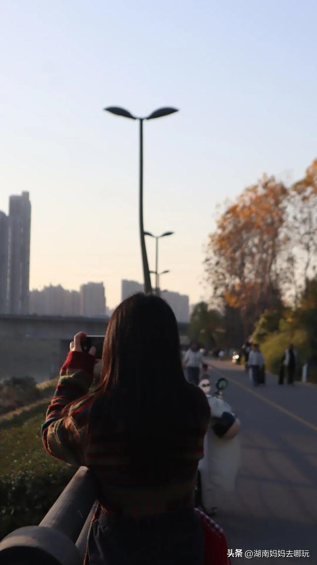不用去南京，长沙也藏着 “梧桐秘境”！遛娃拍照美到窒息！