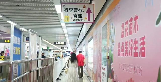 爆爆爆！日均5万人次，斗南花市这个暑期依然火到“出圈”！