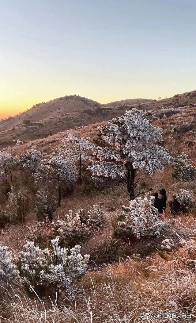 最低-4.8℃！莆田绝美雾凇来了！